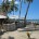 Coconuts Beach Club Resort & Spa, Samoa - Beach Bar
