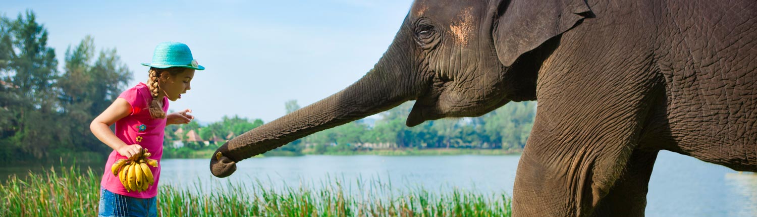 Angsana Laguna Phuket Thailand - Lucky