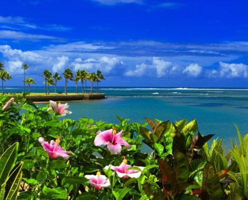 Naviti Resort Fiji - Views