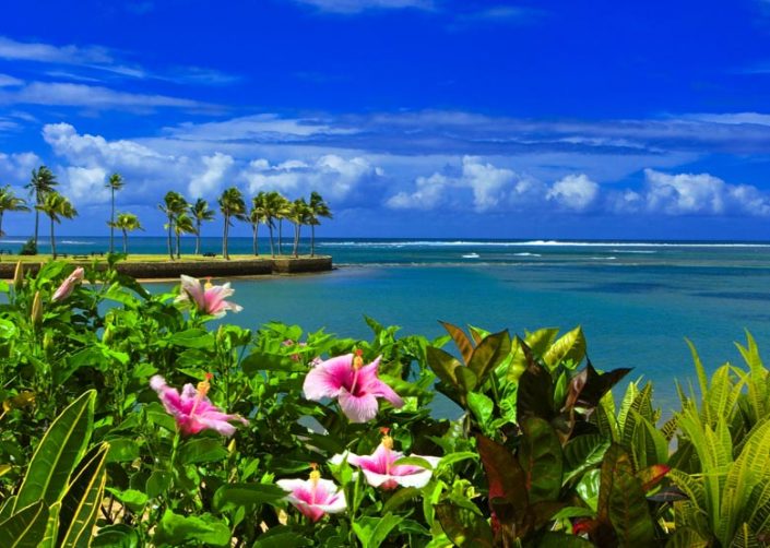 Naviti Resort Fiji – Views Naviti Resort Fiji - Views