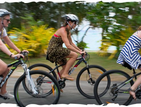Storytellers Eco Cycle Tours - Cook Islands