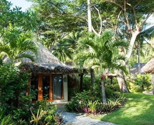 Island Bure