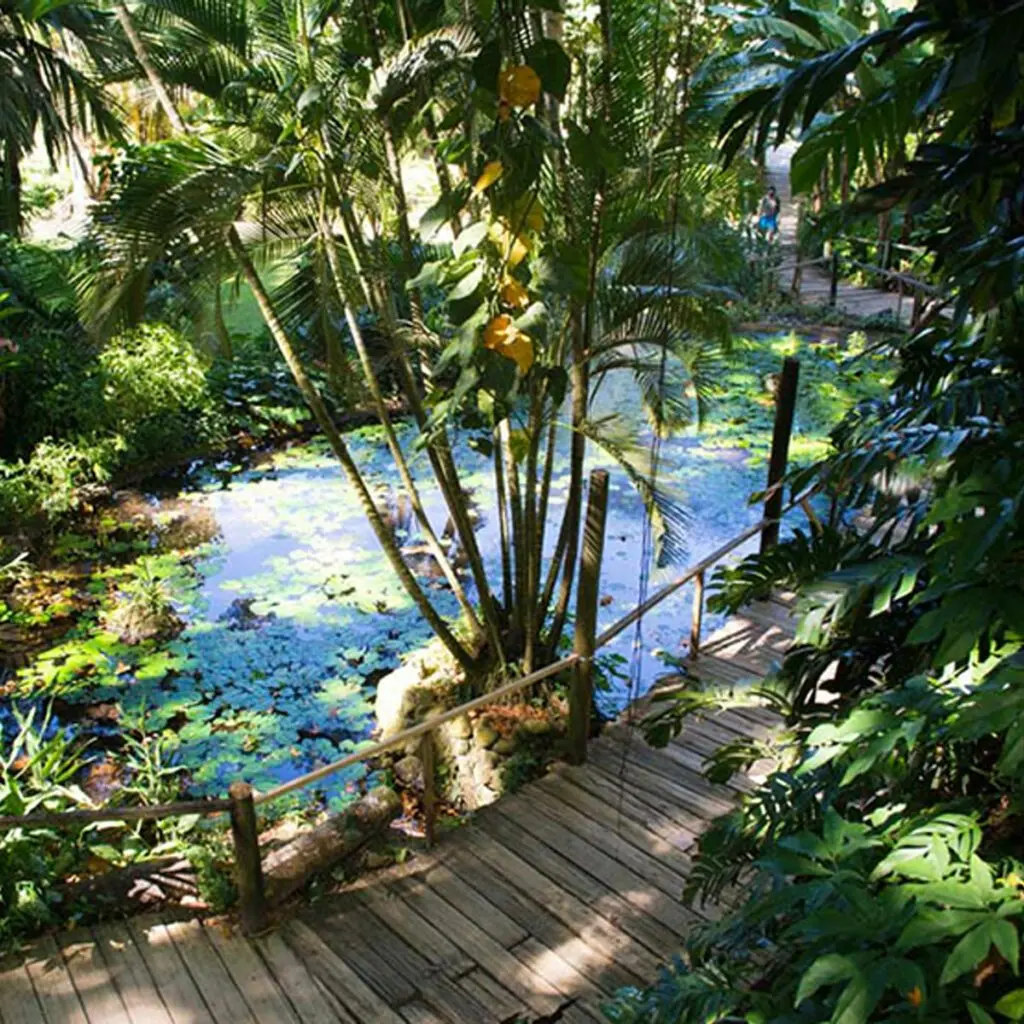 Garden of the Sleeping Giants
