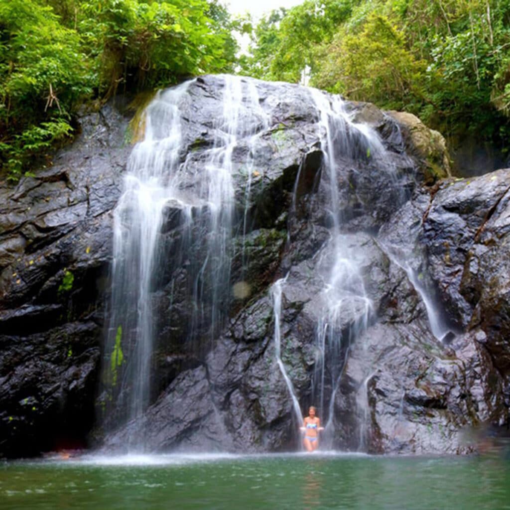 Rainforests and Waterfalls in the North of Fiji