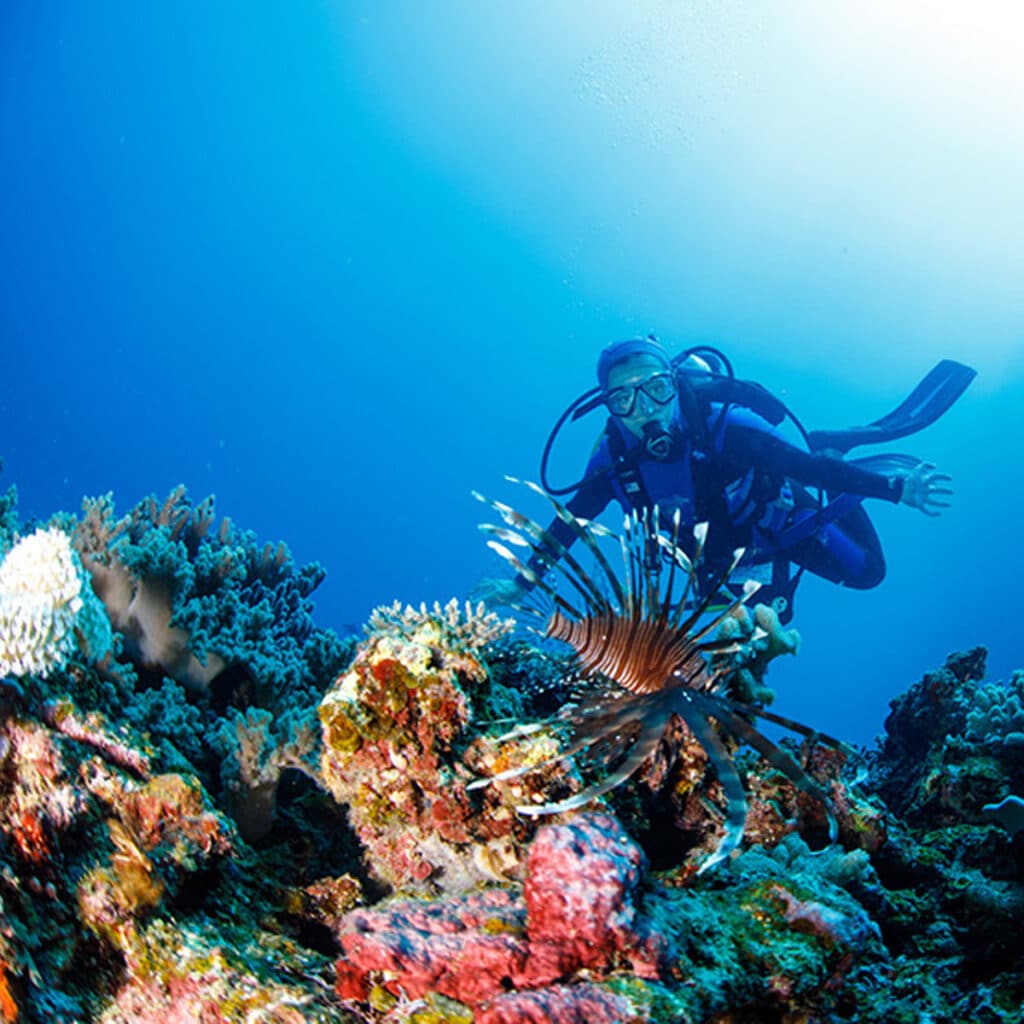 Scuba Diving in Fiji's North