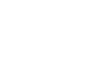 Virtuoso Preferred Partner