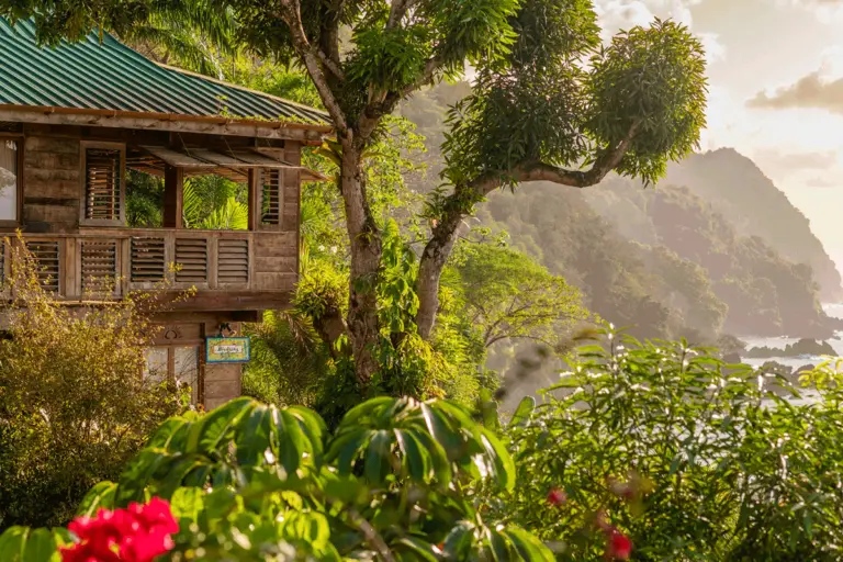 ID Just Grenada