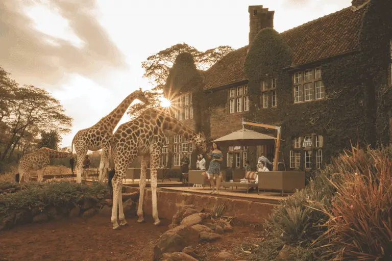 ID Vayeni Africa