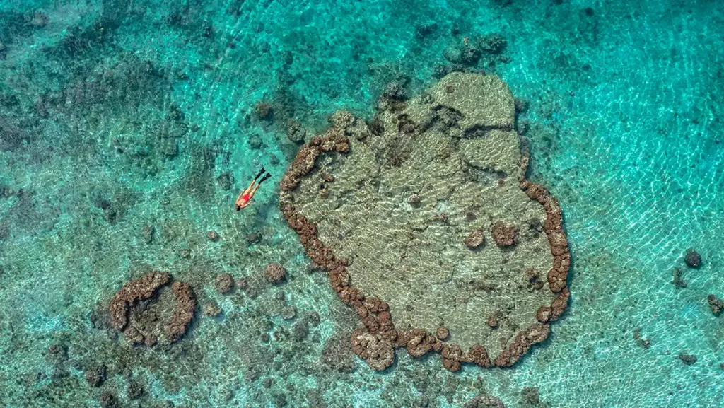 Aore Island Resort Vanuatu - snorkeling the house reef image credits James Vodicka