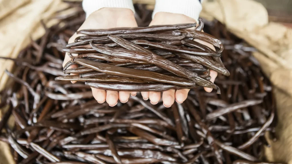 Island Escapes Tahiti Holidays Taha'a Vanilla Plantation