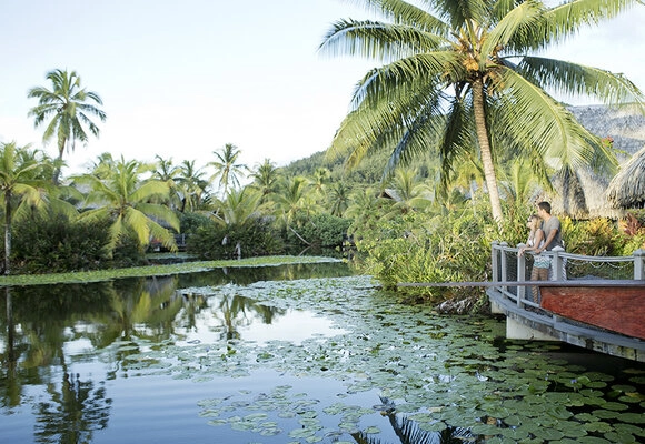 The Lake Lake Fauna Nui