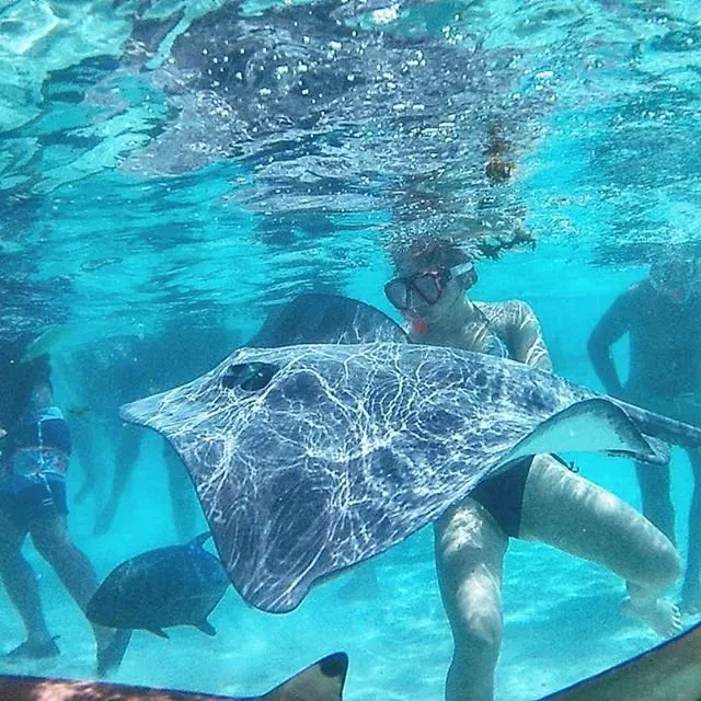 snorkeling session with