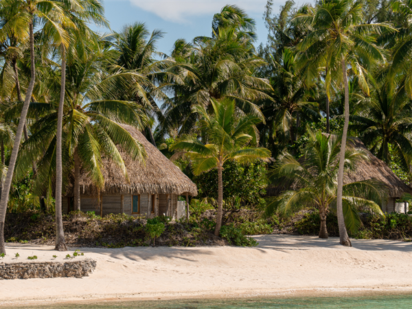 Le Tikehau Beach Fare Palm Trees White Sand Tikehau Atoll French Polynesia