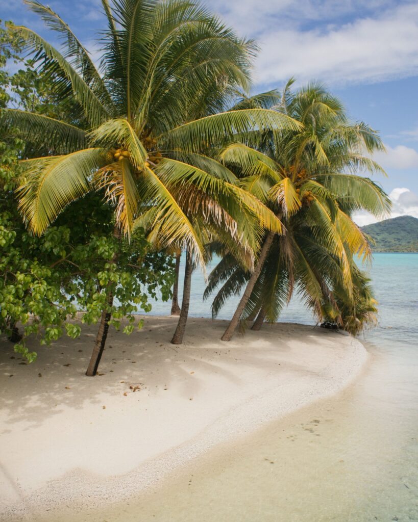 Vahine Private Island Taha'a Society Islands Tahiti563975273 18530742754043382 2288376844531117874 n