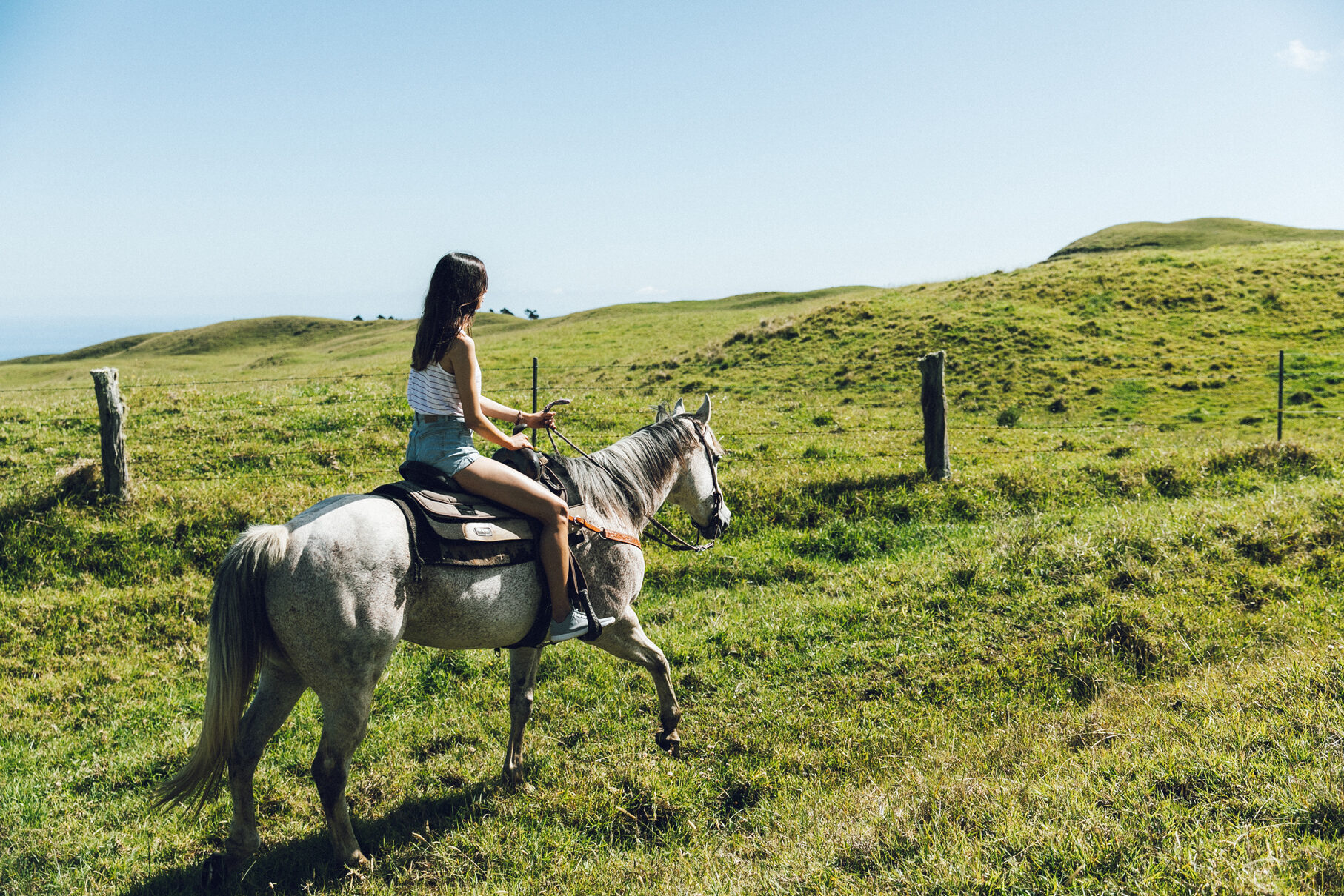 Hawaii Island Big Island of Hawaii visitor on horseback ride through pastureland hawaii island 17484