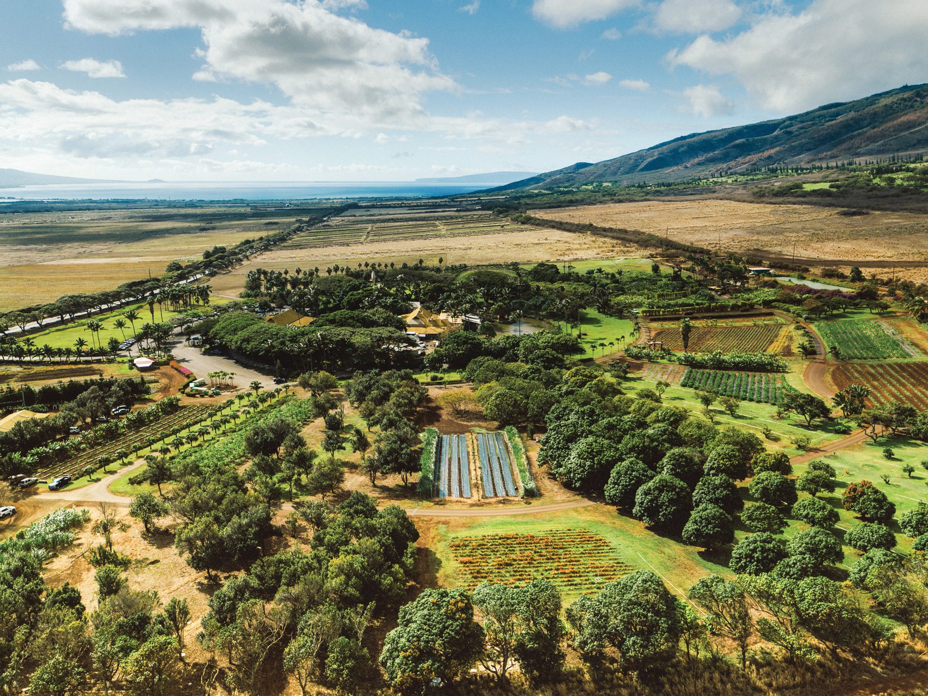 hawaii maui central wailuku tropical plantation aerial 01 jpg