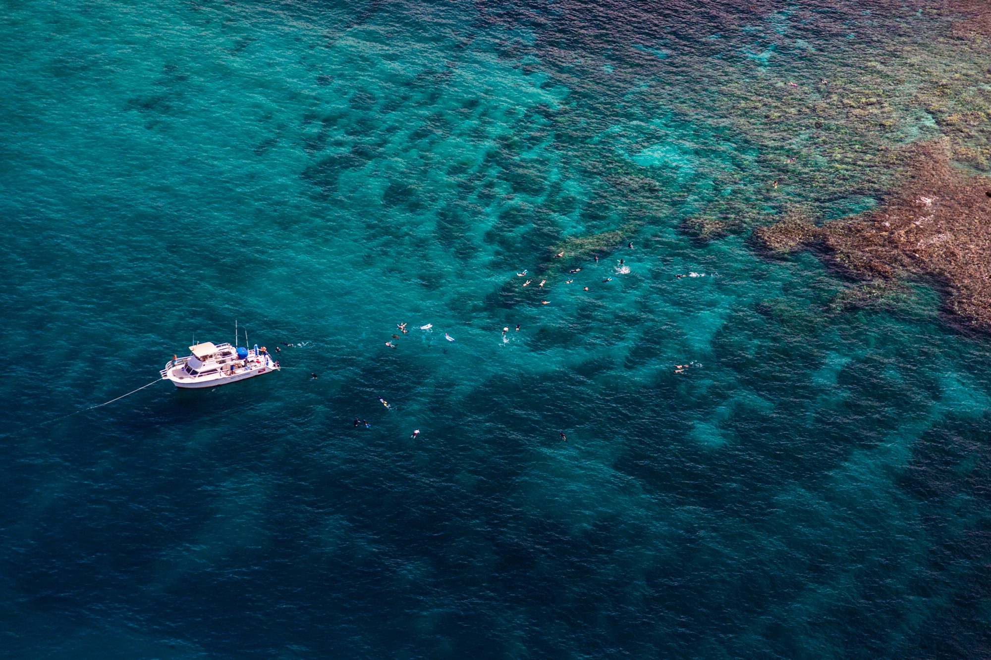 hawaii maui south makena snorkellers reef 01 jpg