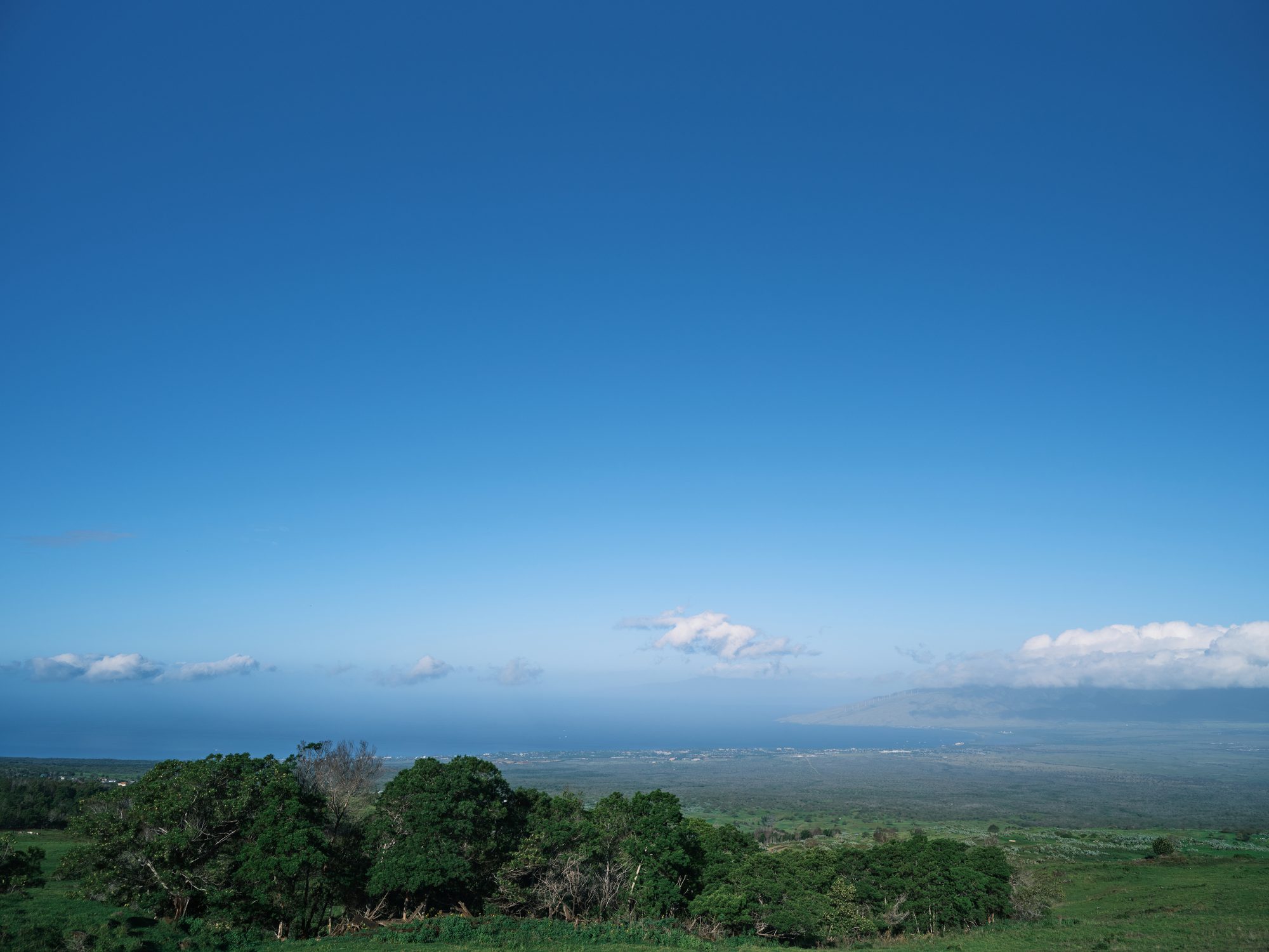 hawaii maui upcountry kula country farms scenic 01 jpg